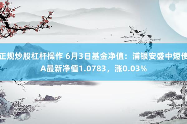 正规炒股杠杆操作 6月3日基金净值：浦银安盛中短债A最新净值1.0783，涨0.03%