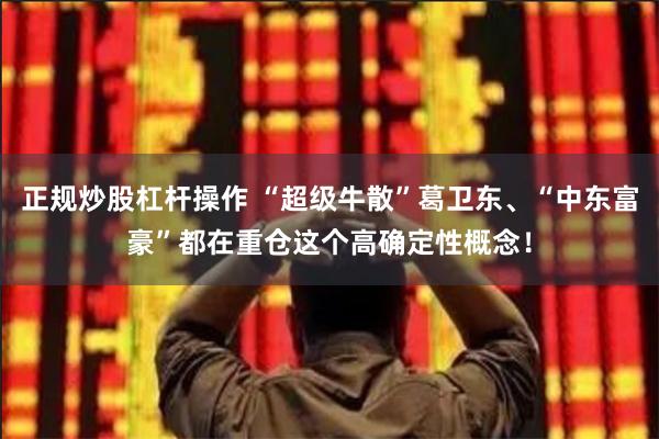 正规炒股杠杆操作 “超级牛散”葛卫东、“中东富豪”都在重仓这个高确定性概念！