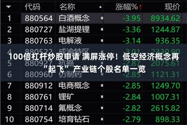 100倍杠杆炒股申请 满屏涨停！低空经济概念再“起飞” 产业链个股名单一览
